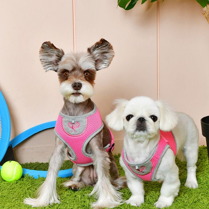 ハーネス 犬 首の負担が少ない 小型犬 中型犬 子犬 パピア PUPPIA 可愛い ハーネス犬用 犬のハーネス 柔らかい ベストハーネス パピー 超小型犬 極小 簡単装着 抜けない 抜けにくい 脱げない 胴輪 シニア犬 