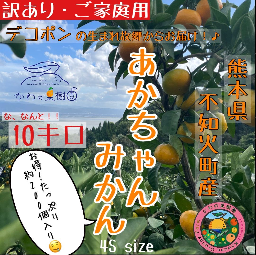 熊本県産 不知火 10キロ