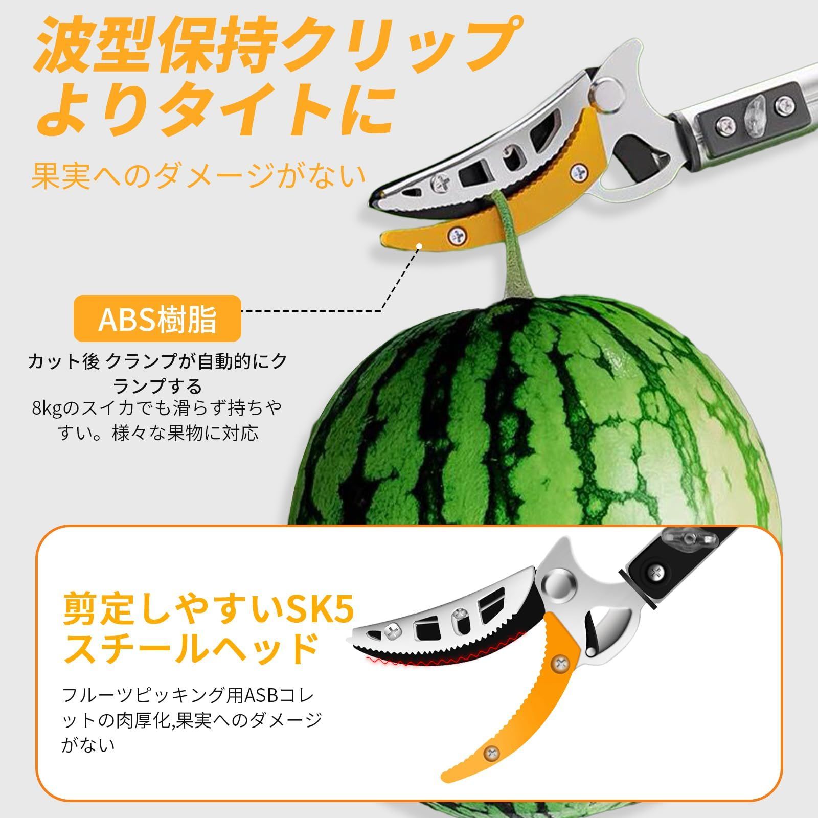高枝
