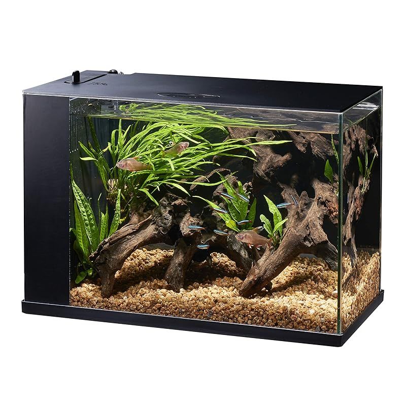 ジェックス GEX AQUARIUM ラクテリア ガラス 水換え簡単水槽 サカナ フィルター LED付き W34×D17.5×H24cmブラック 1