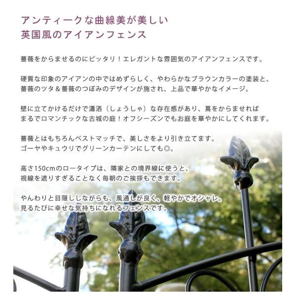 アイアンフェンス
