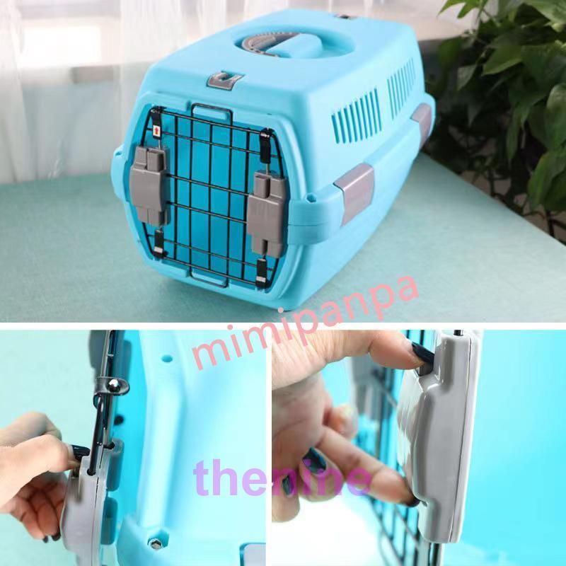 犬 猫