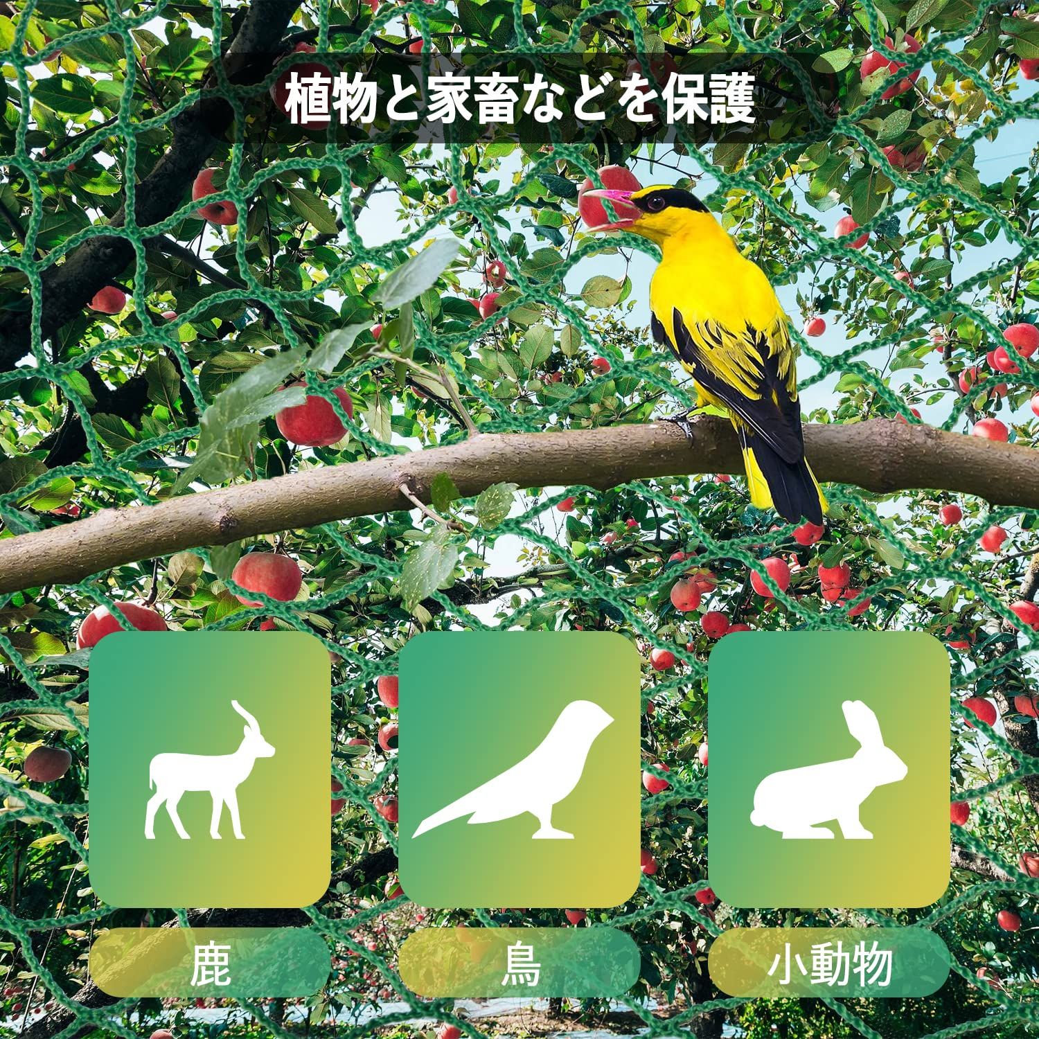 Gulfmore PP養生ネット 10x10m バードネット 多目的 園芸ネット 防鳥 防獣ネット 万能グリーンネット 果樹守りネット 鳥から田畑や果樹を守る アニマルネット