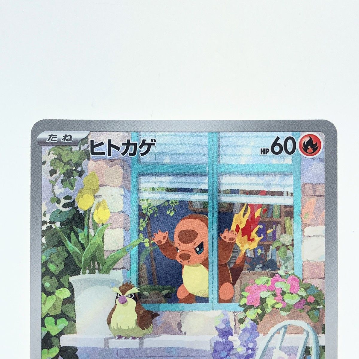 【PSA10】ヒトカゲ　プロモ 051/049 PSA10】ヒトカゲ(D){炎}〈051/049〉[SVG] – 晴れる屋2