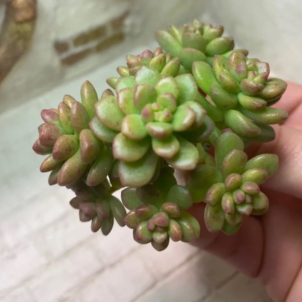 アンティーク 仏像 彫刻 秀峰 秀峰刀 オブジェ 秀峰彫刻 風水 開運