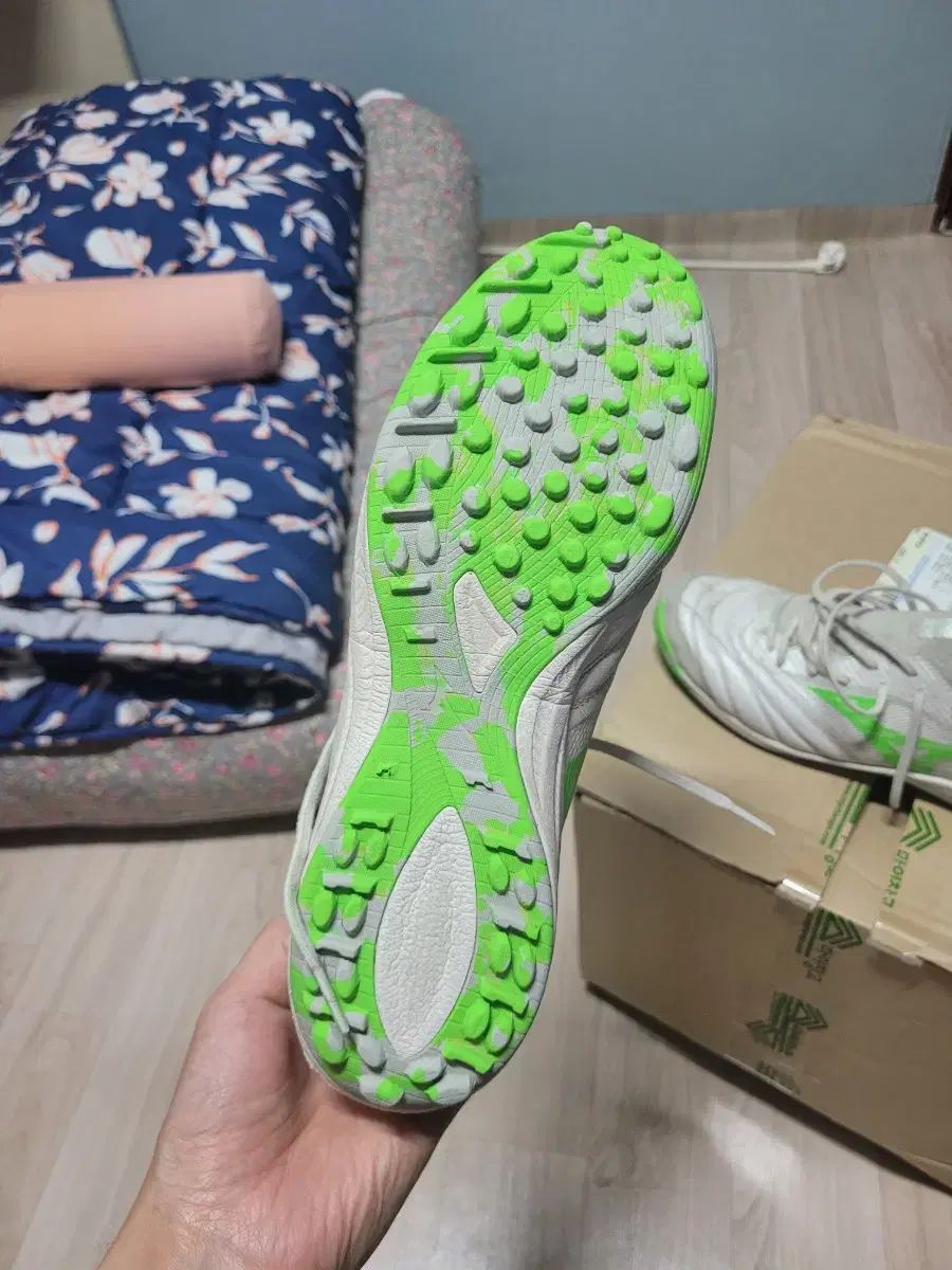 japan tf
