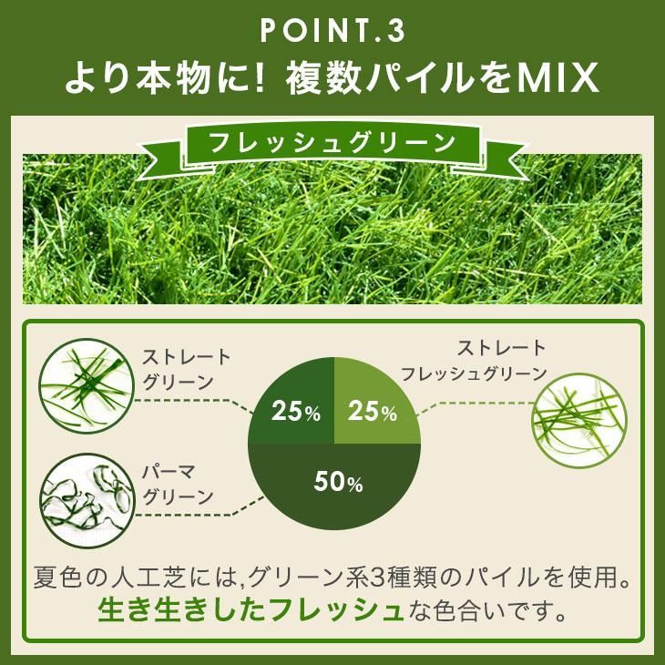 ピン 24本