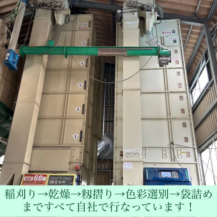 新米 令和７年度