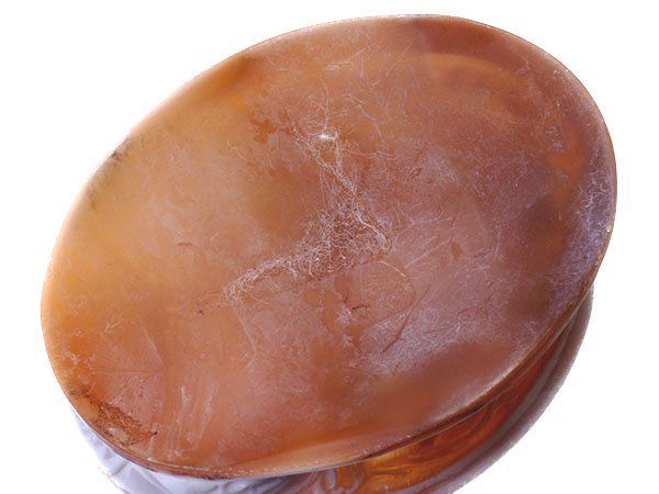 55.4ｍｍ×41.8ｍｍ w5795o