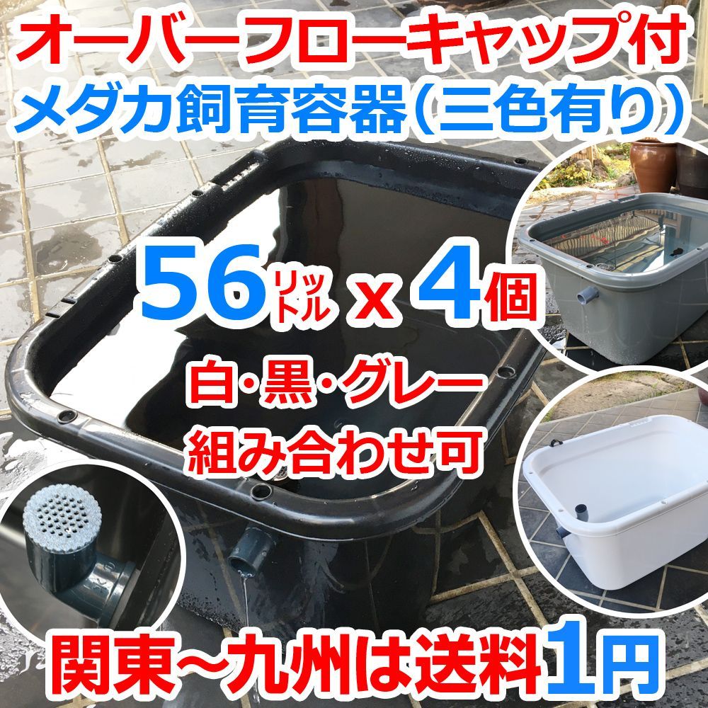 メダカ飼育ケース 56㍑x4個 三色有り オーバーフローキャップ付メダカ飼育容器 大雨でも安心なメダカ飼育容器 金魚 らんちゅう 水草 睡蓮 ビオトープ めだか水槽 タライ トロ舟