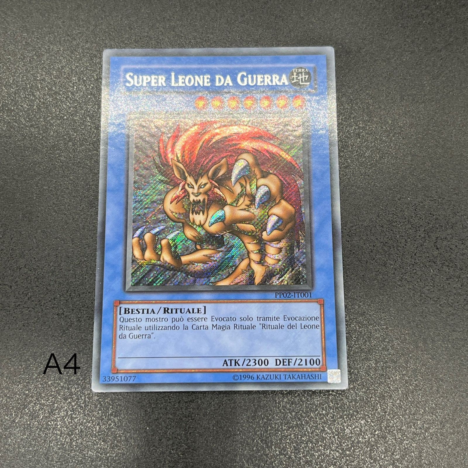 確認用 ゼラの儀式 確認用 ゼラの儀式 ゼラの儀式 貴重! イタリア語