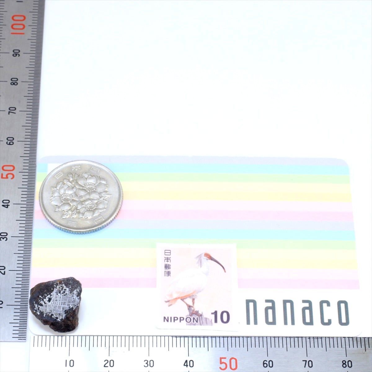 超希少！ロードラナイト✨NWA3341（原始的無球粒）隕石標本 超希少！ロードラナイト✨NWA3341（原始的無球粒）隕石標本