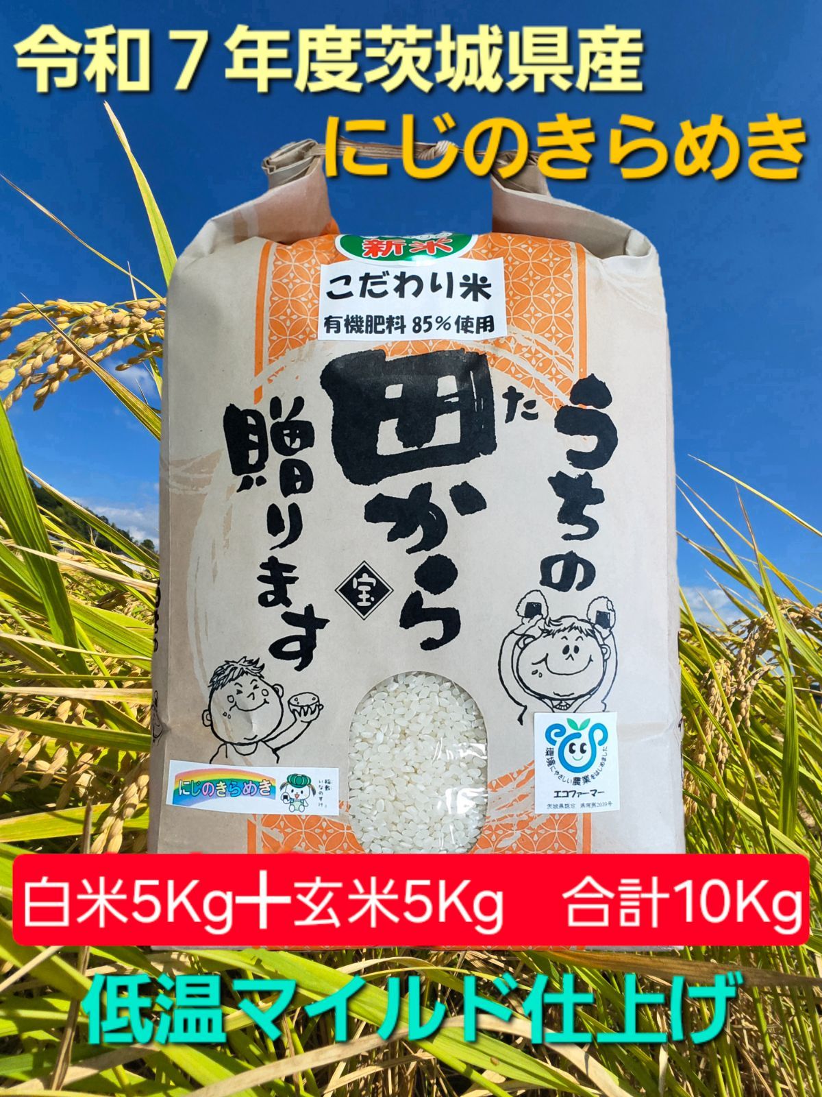 玄米 にじのきらめき 米 茨城 Amazon co jp 令和7年産 古河市のお米 に 