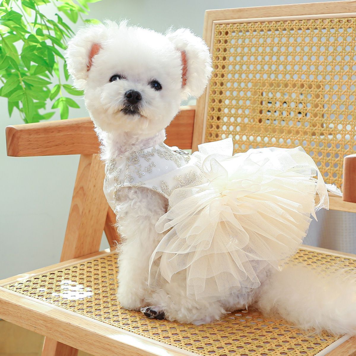 【XSからXL】人気 ペット服 猫 犬 かわいい おしゃれ ウエディングドレス ワンピース ドッグウエア キャットウエア パーティ 誕生日 イベント 記念日フォト おめかし レース チュール ペット