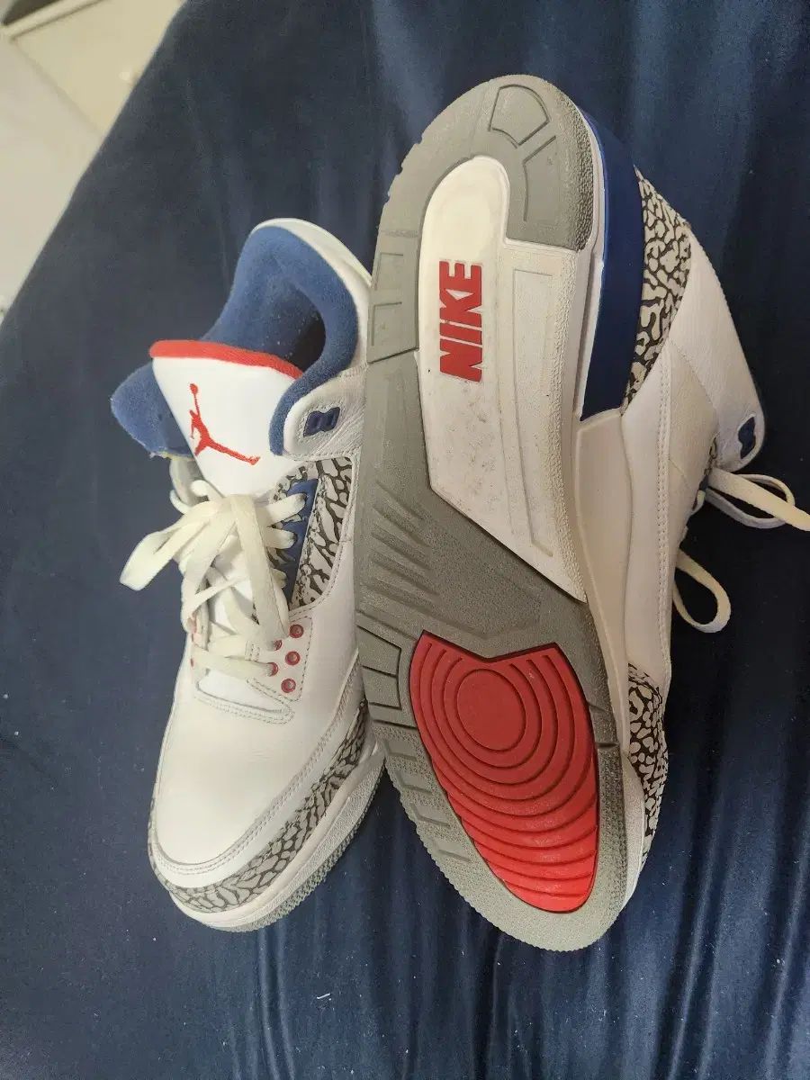 ジョーダン 3 レトロ 白 トゥルーブルー 300 mm