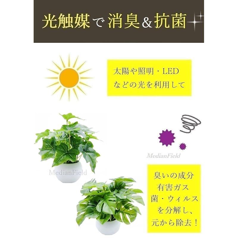 MedianField 観葉植物 光触媒 消臭 ＆ 抗菌 ウォールグリーン 3個