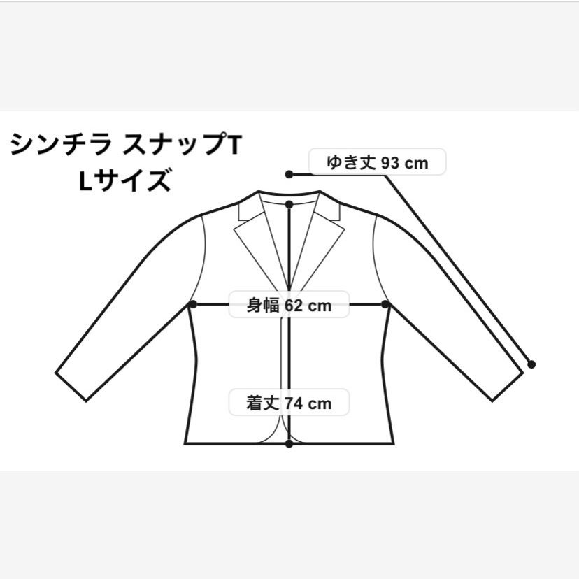 パタゴニア シンチラスナップT Lサイズ 新品未使用 国内正規品