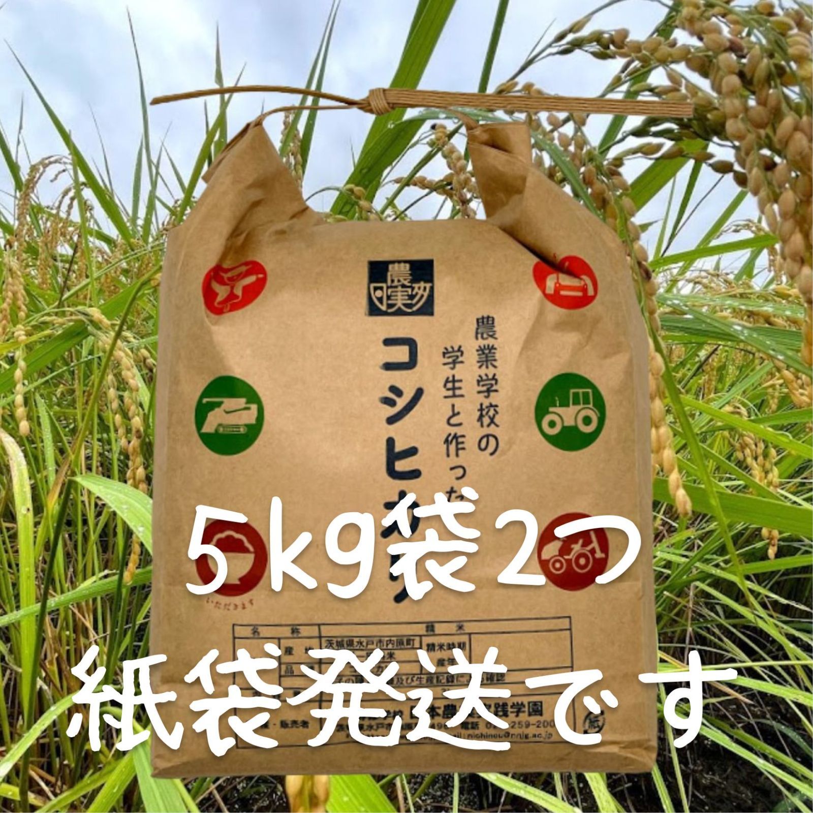農業学校の学生と作った【コシヒカリ】玄米10kg　令和4年産新米　お米10キロ-1