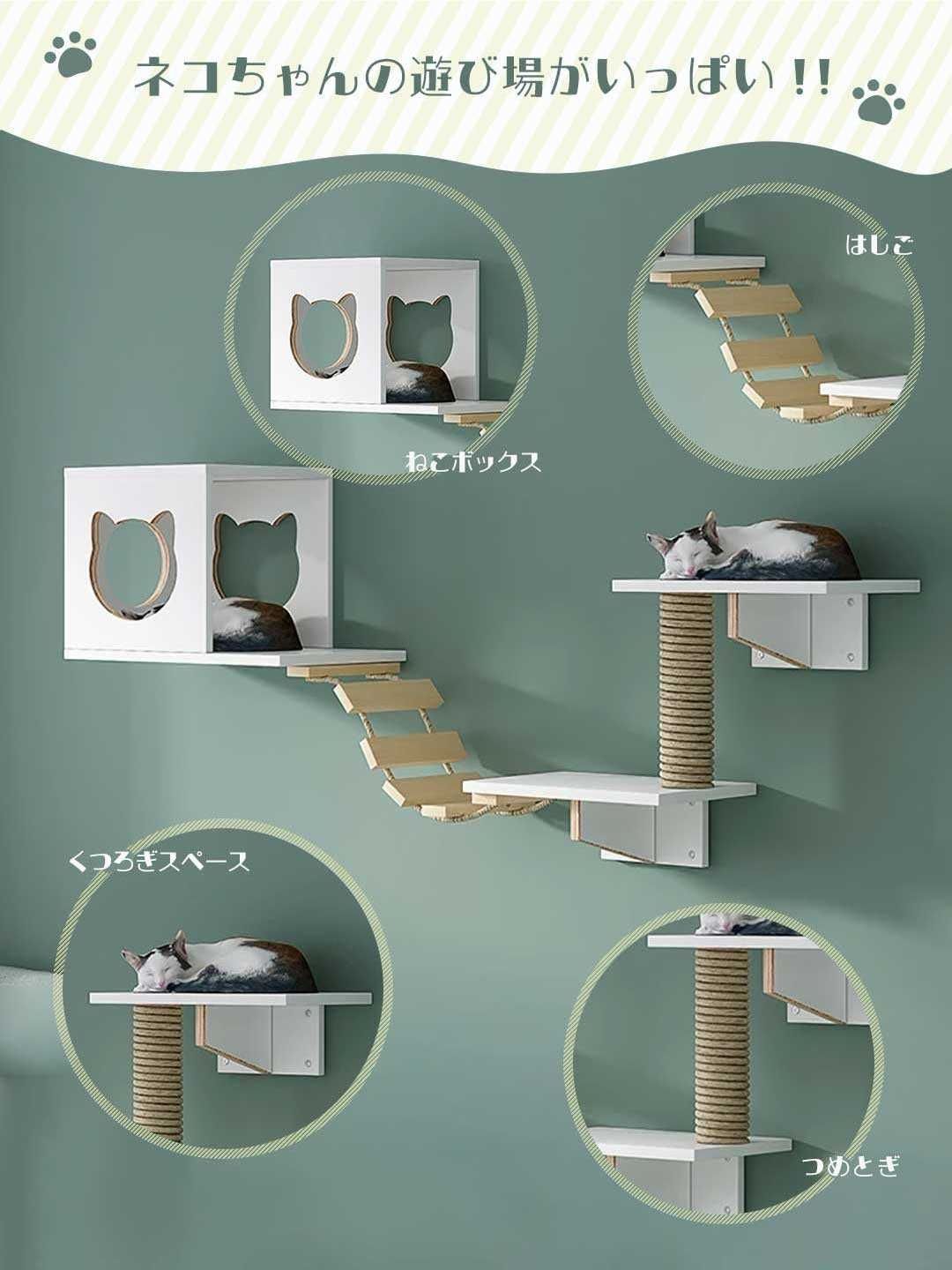 はしご 猫