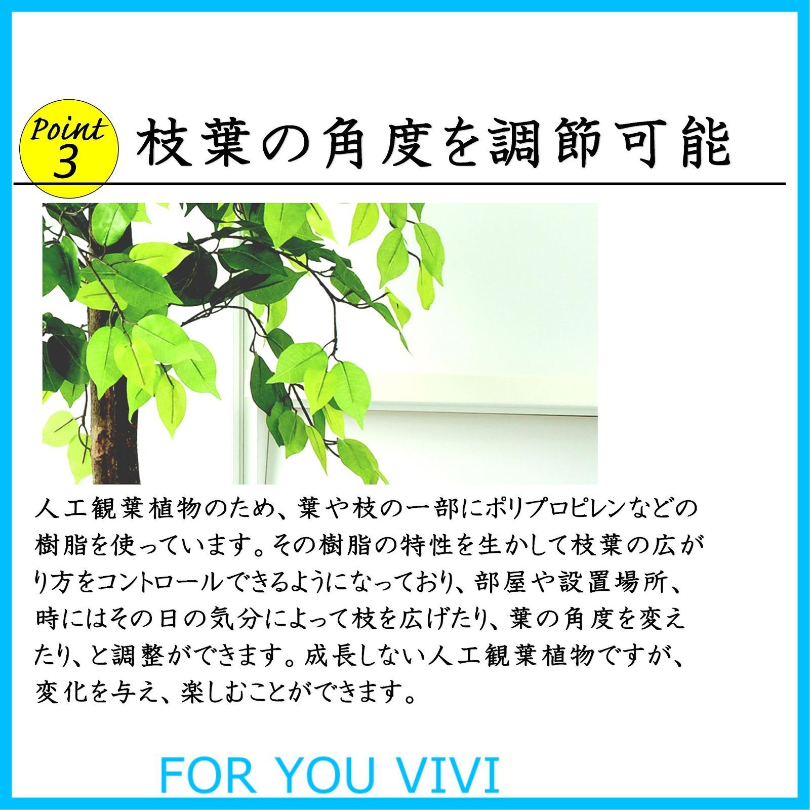 ビータ Vita