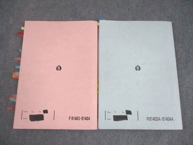 駿台 物理X テキスト通年セット 2024 計2冊 豆谷直哉/下川和大/高井隼人 032M0D 駿台 物理X テキスト通年セット 2024 計2冊 豆谷直哉/下川和大