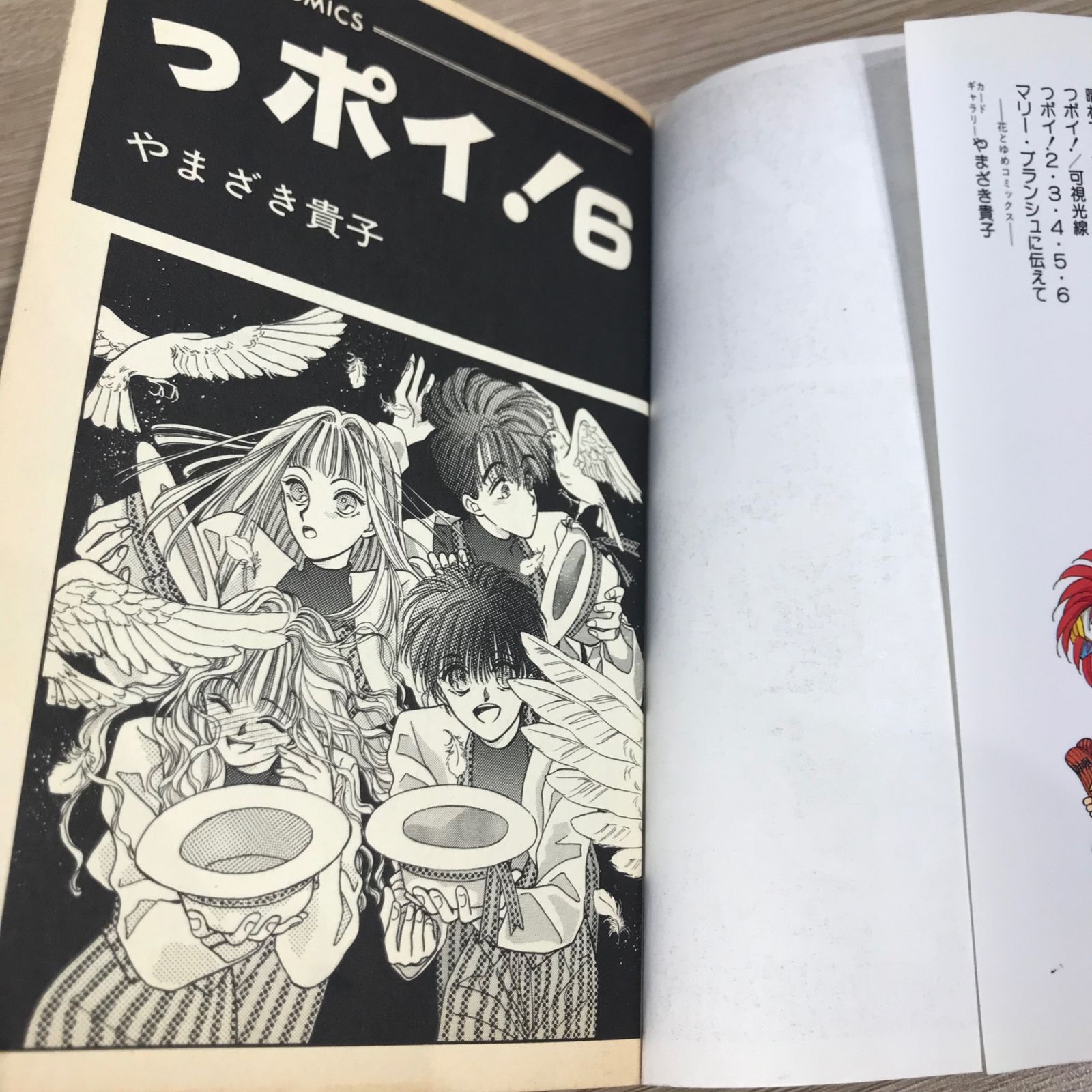 活動歴および当時の関連ビジュアル記録
