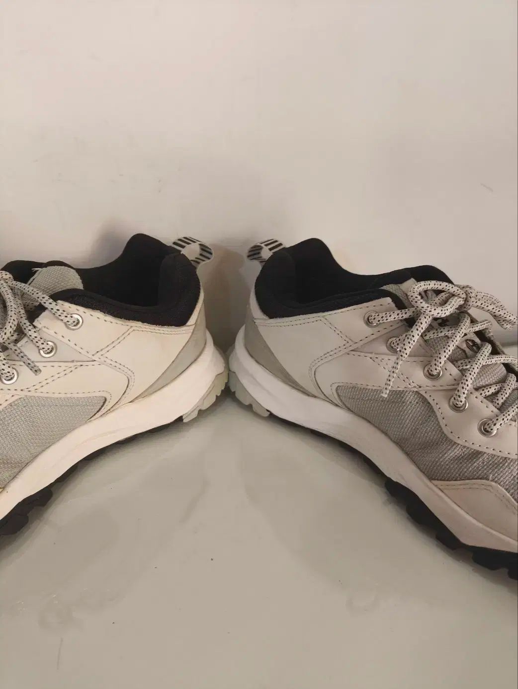 リンカーンピーク GORE