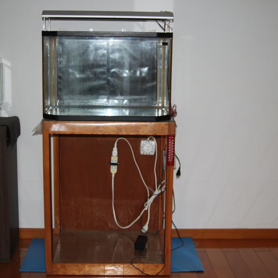 引き取り限定 60センチ水槽2個 その他セット 引取り限定】60CM水槽セット 水槽台・ライト付き