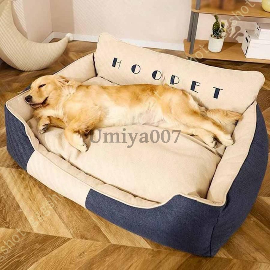 中型犬