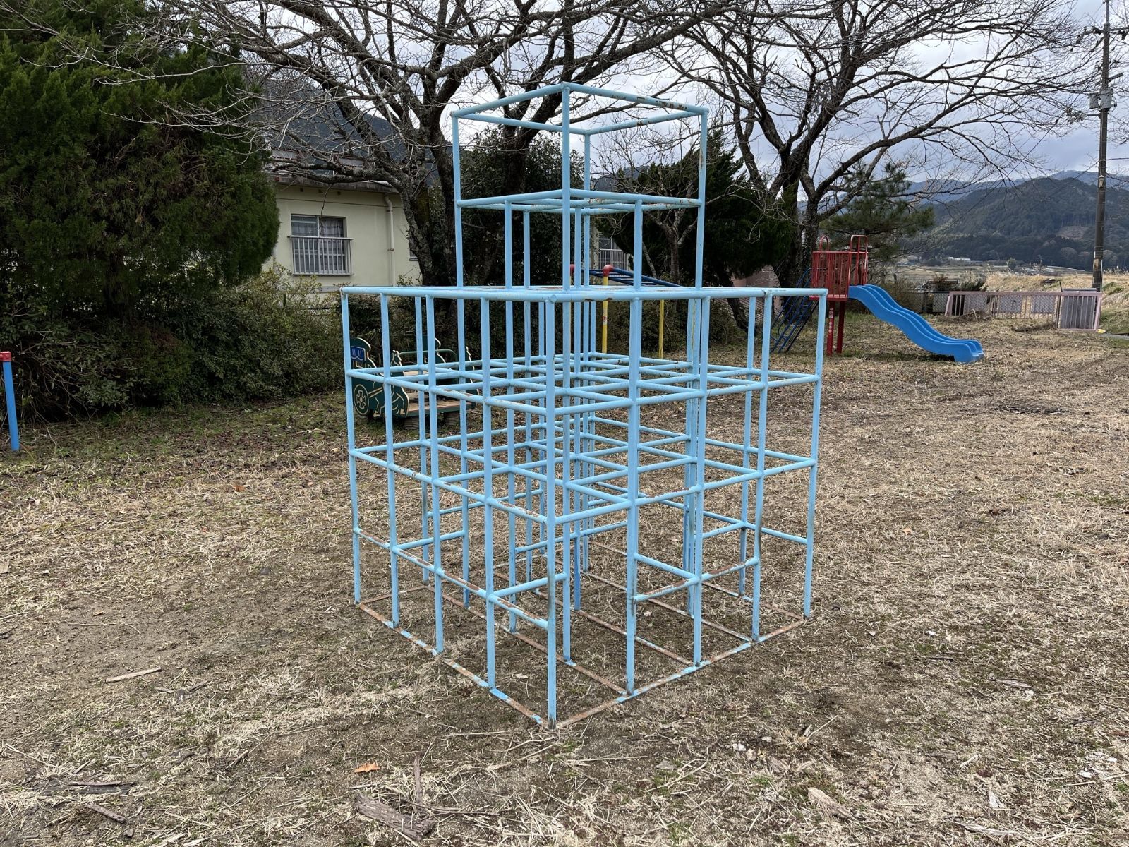 ジャングルジム 現地 のみ