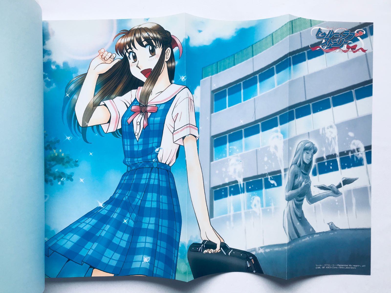 true love story　　トゥルー・ラブストーリー 　販促非売品ポスター true love story トゥルー・ラブストーリー 販促非売品ポスター