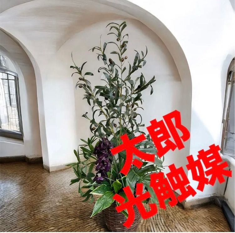 光触媒 人工観葉植物 ウォールグリーン フェイクグリーン オリーブとモンステラajmd