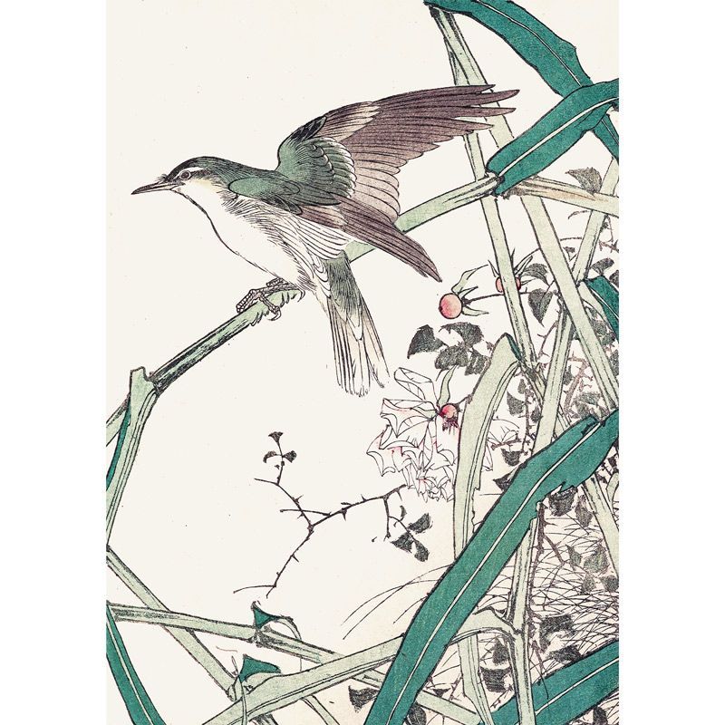 花鳥画 ㉑花鳥画・短冊絵・柱絵等 | 山星書店 浮世絵 Yamaboshi-Shoten