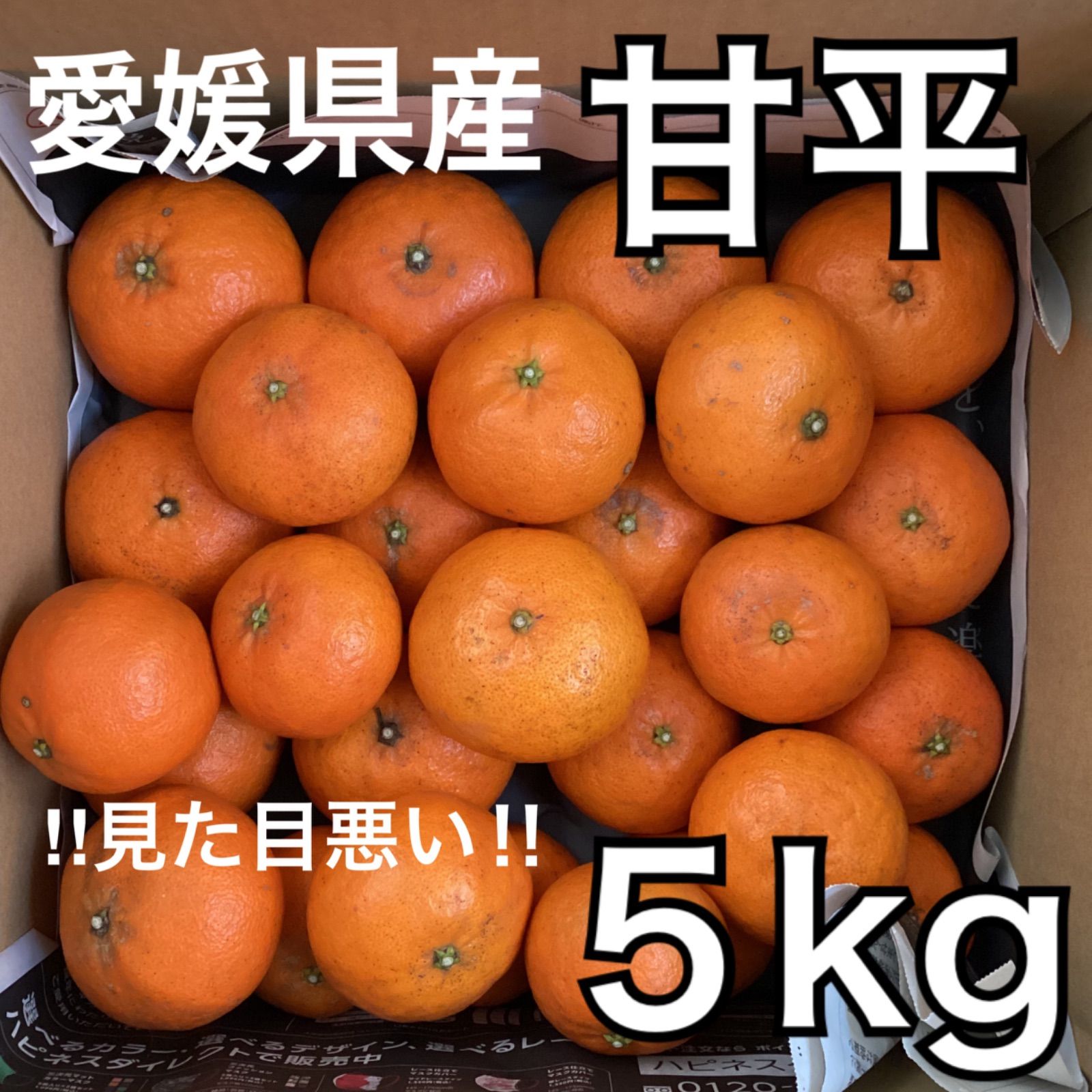 送料無料　Mitsu-kan〜蜜柑〜　メルカリ　愛媛県産　甘平　5kg　柑橘　かんぺい　‼︎見た目悪い‼︎