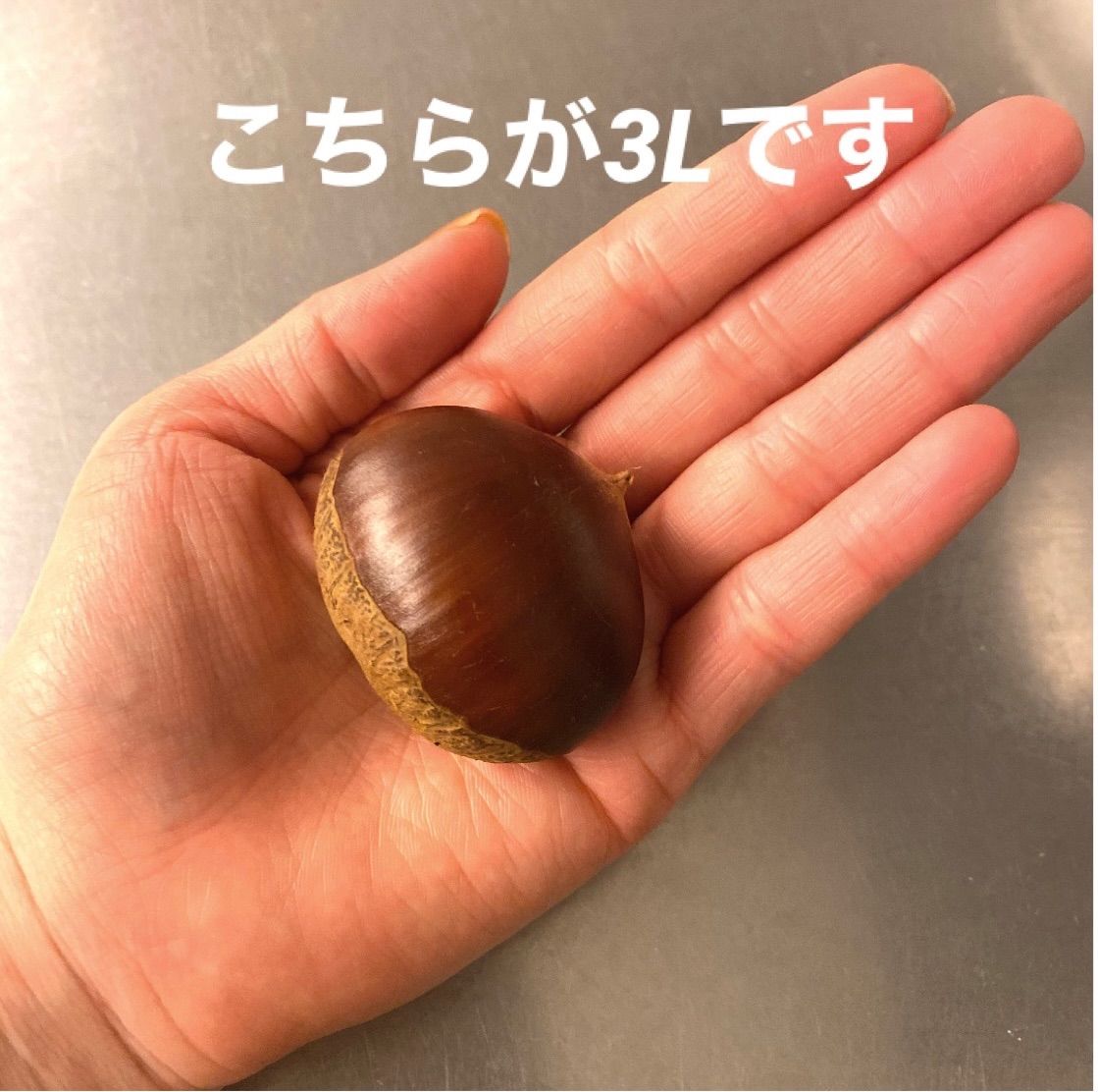 完全無農薬 銀寄 サイズ2L〜3L 大粒 生栗 1.2kg メルカリShops