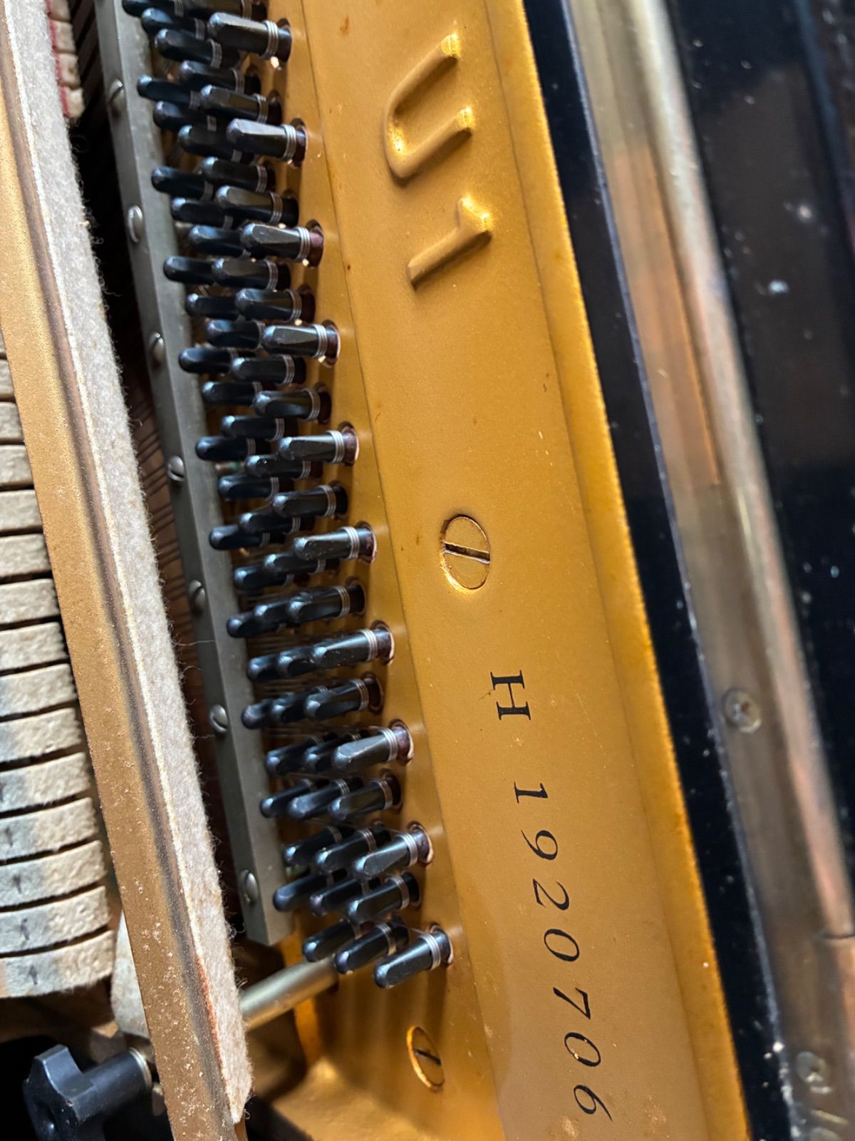 音色の良い 運賃無料