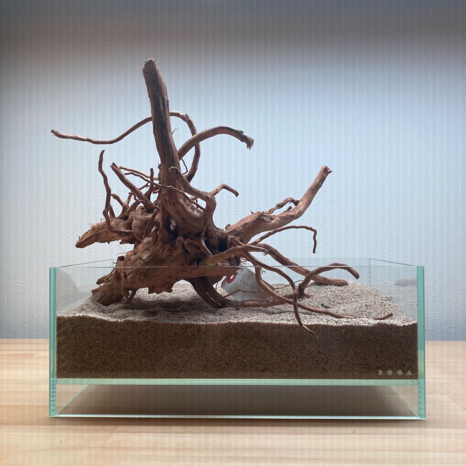 ブランチウッド系流木【セレクト品】003 - メルカリ