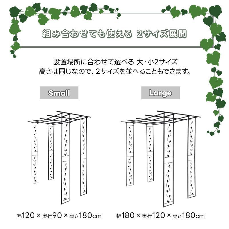 観賞用