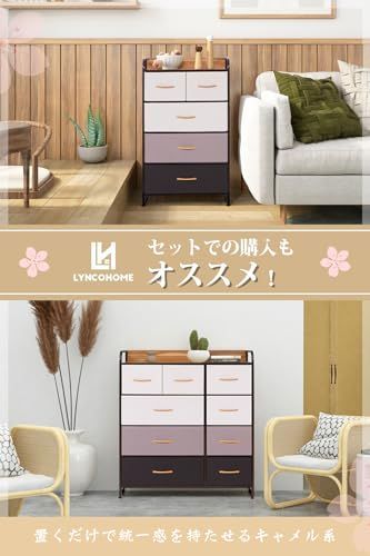 在庫処分 低ホルム 転倒防止 マルチ収納 衣類収納 おもちゃ スリム