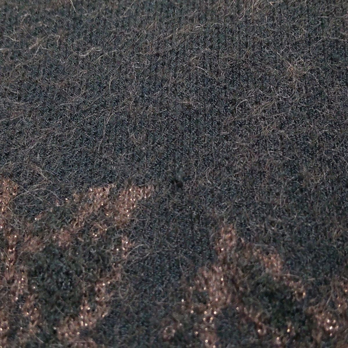ノリコアラキ