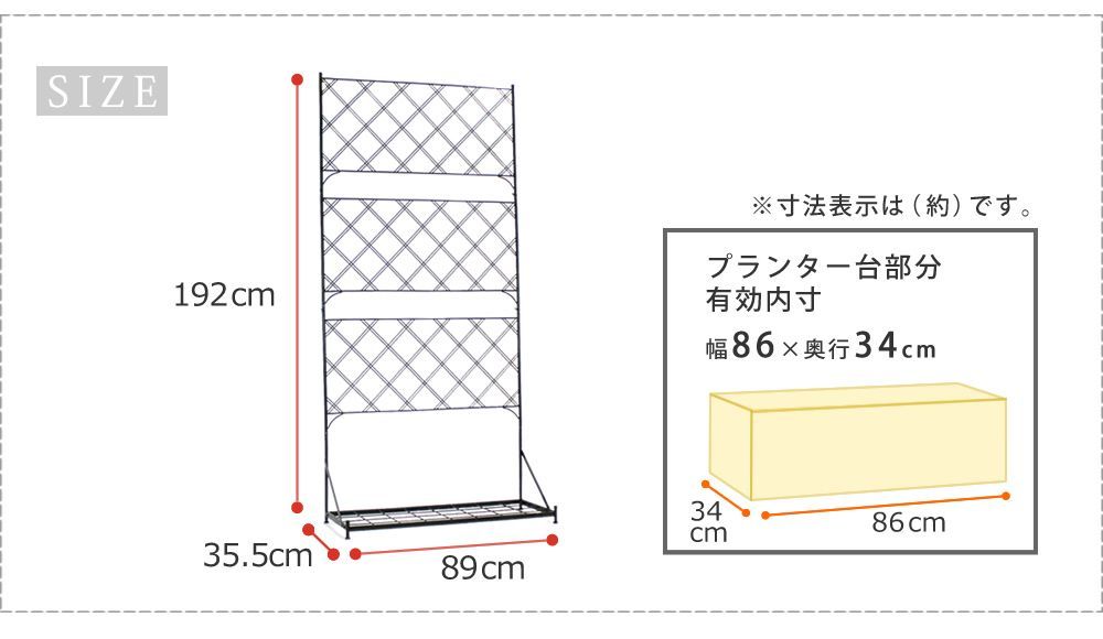ハイタイプ