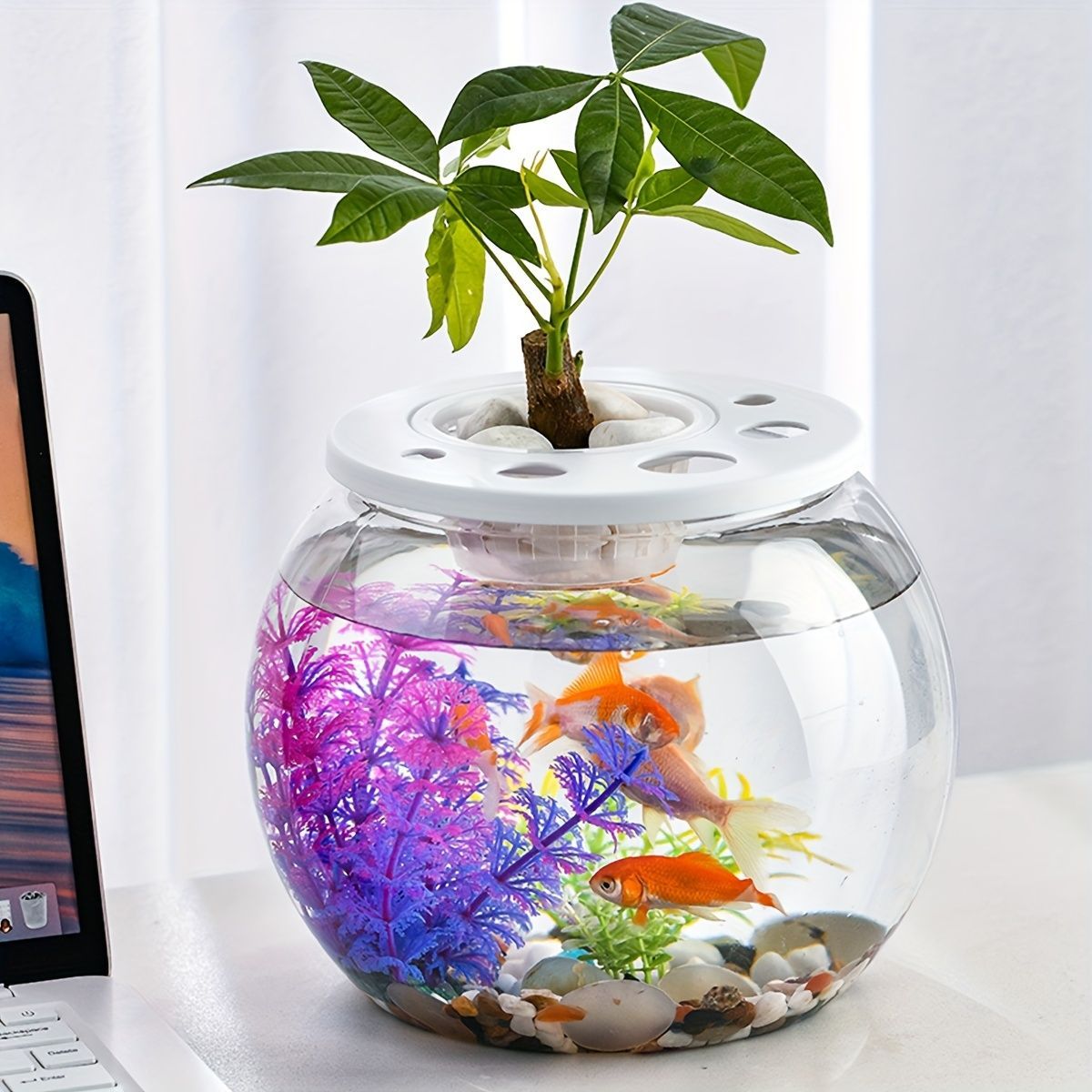ポリカーボネート製 球形 Φ60×H45 金魚鉢 アクアリウム 水槽 大型 花瓶