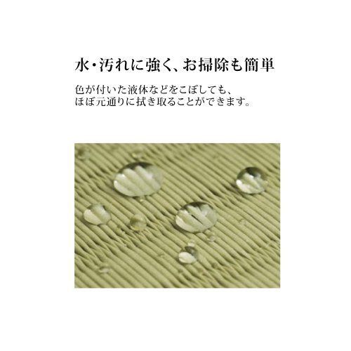 TTNコーポレーション igusa-mono Square 450(置き畳スクエア450) 05:利休 サイズ:45x45cm 厚み1.4cm 1枚  - メルカリ