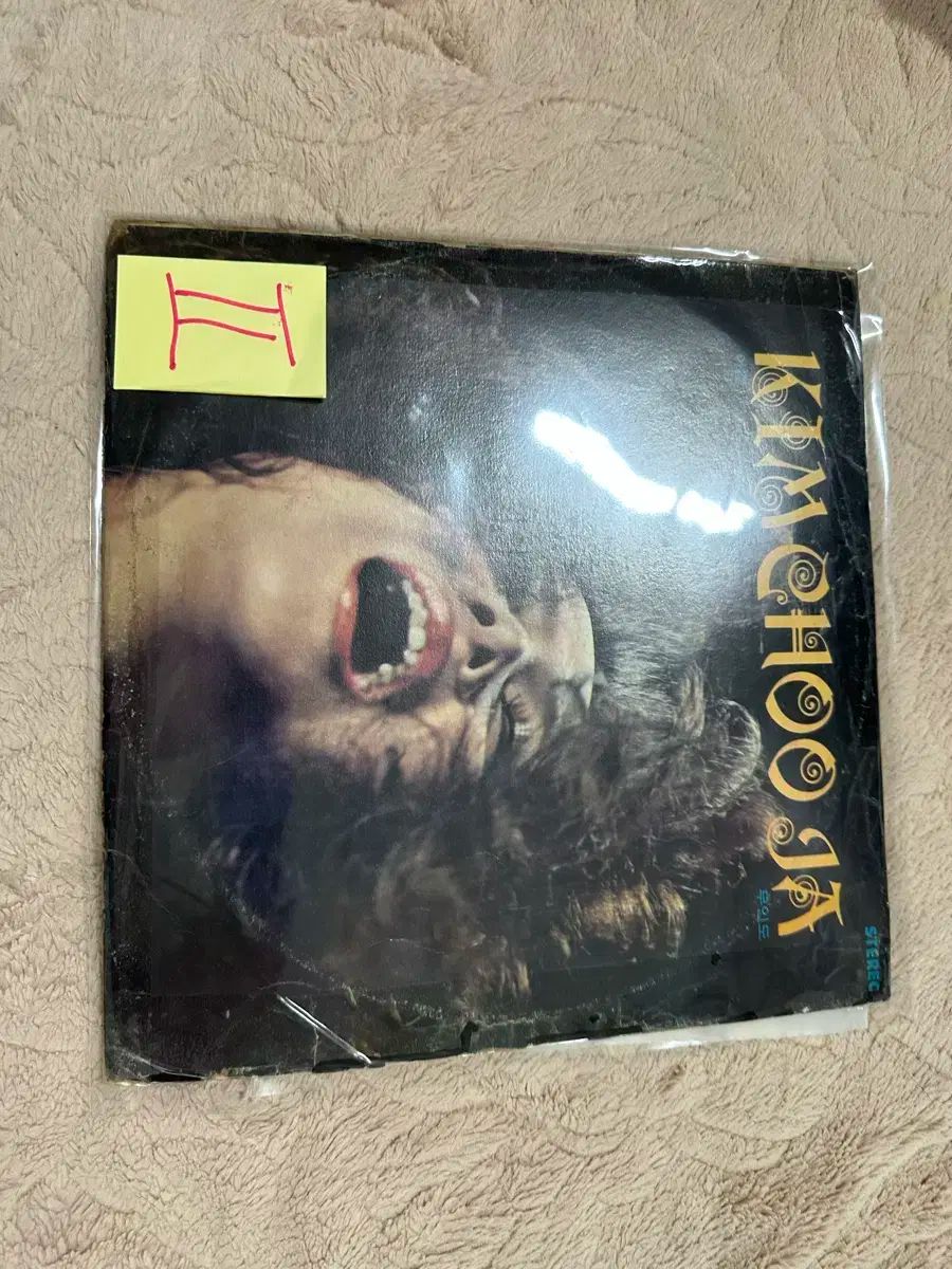 キムチュジャ 無人 早い 韓国 行こう 覇権 みょうばん LP