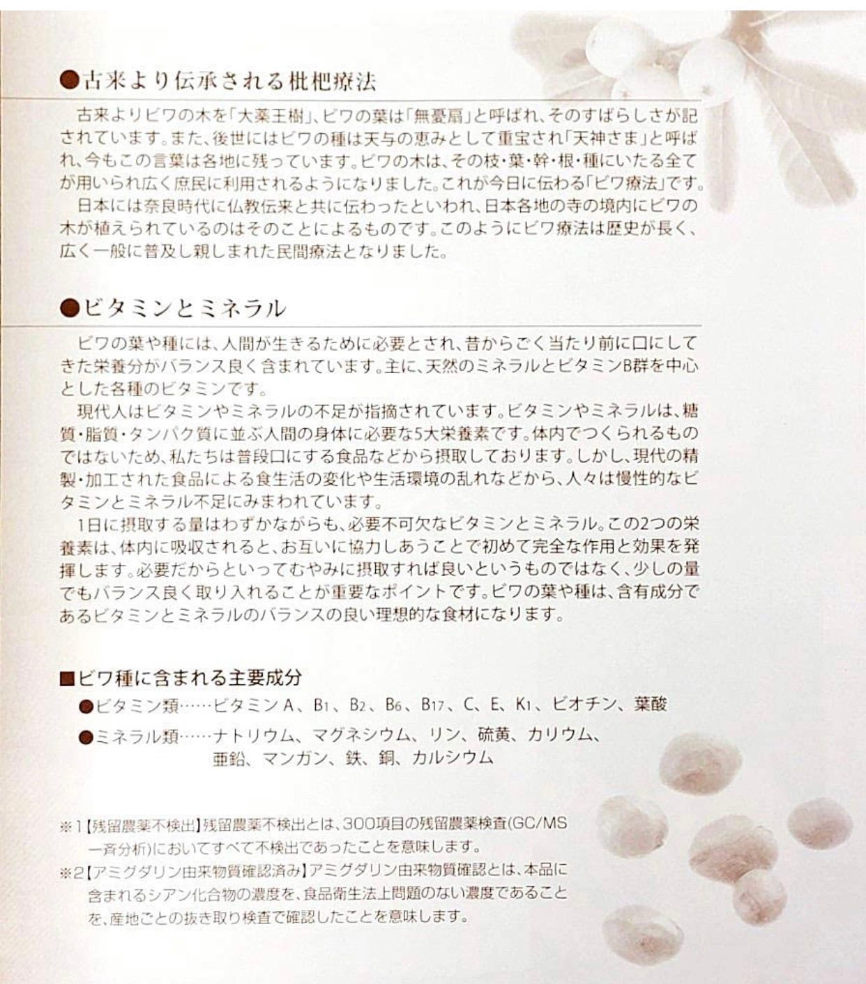 長崎産茂木ビワ種