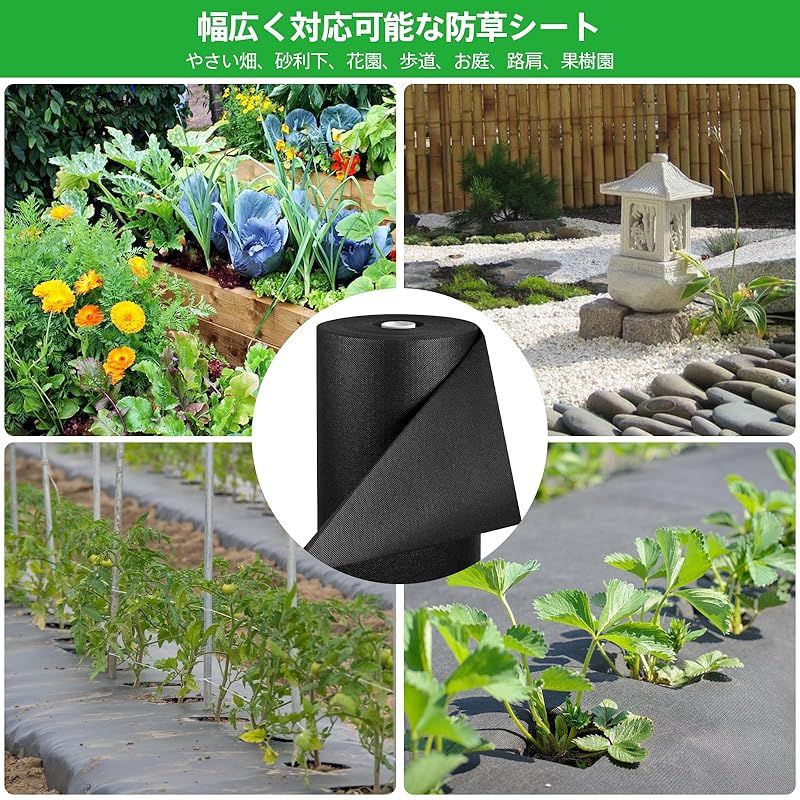 畑 園芸
