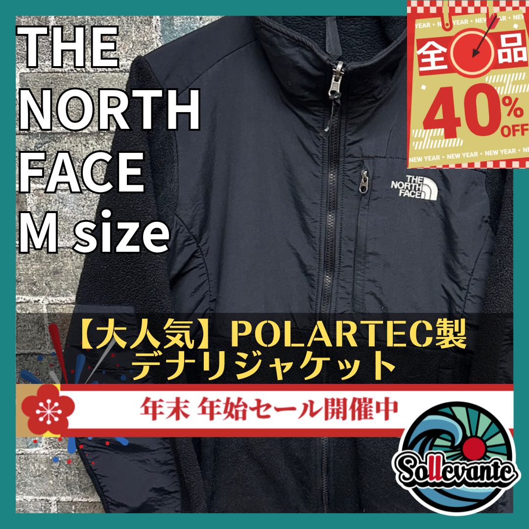 古着 ゆるだぼ 刺繍ロゴ 90s THE NORTH FACE ノースフェイス デナリ 