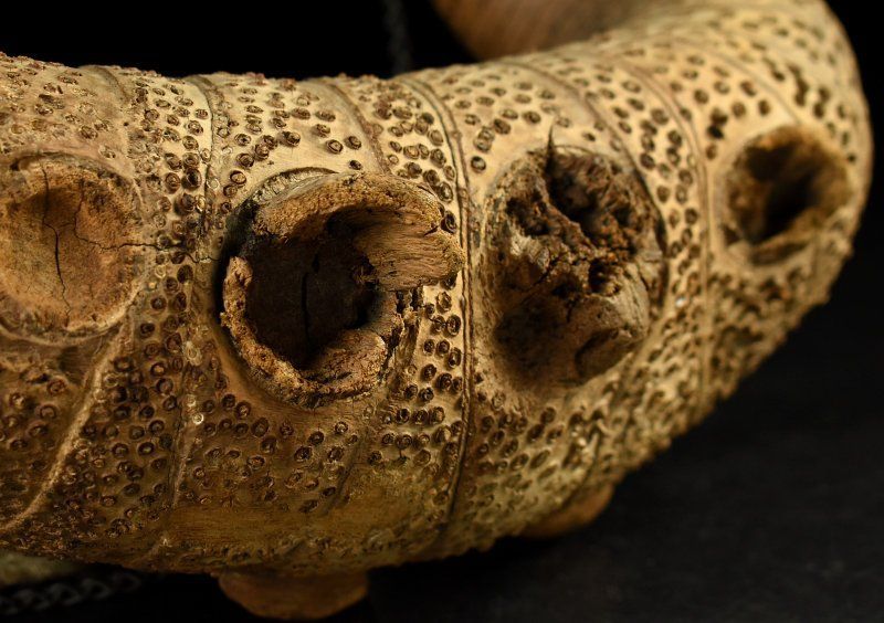 蔵A3733 時代 竹根吊花入 花器 花生 茶道具 IMPECCABLEHEALTHCARESERVICES_COM