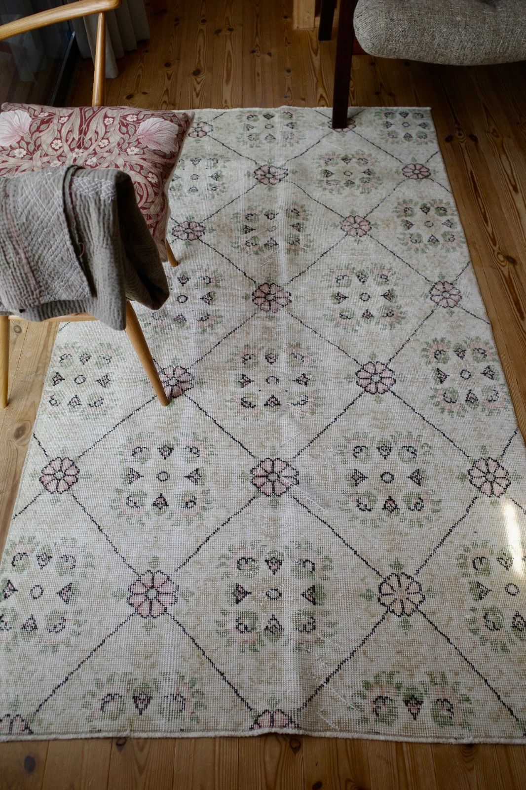 吉祥天 超大株 吉祥天 超大株