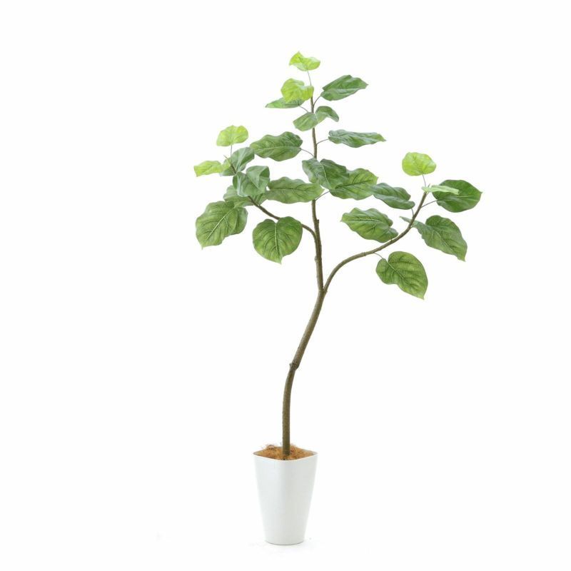 奥行70cm スマートポットC8